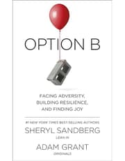 Option B product image
