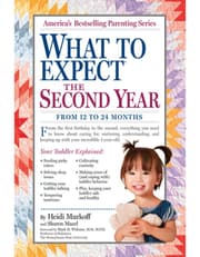 What to Expect the Second Year product image