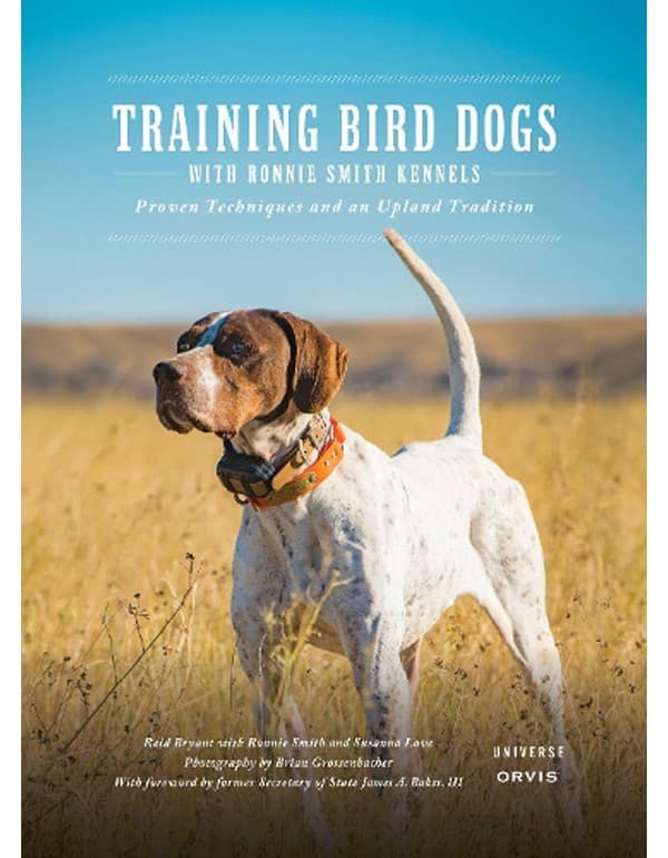 Training Bird Dogs with Ronnie Smith Kennels