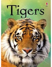 Tigers product image