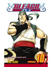 Bleach, Vol. 10: Tattoo On The Sky product image