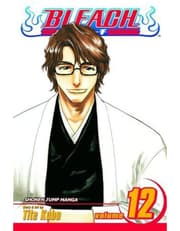 Bleach, Vol. 12 product image