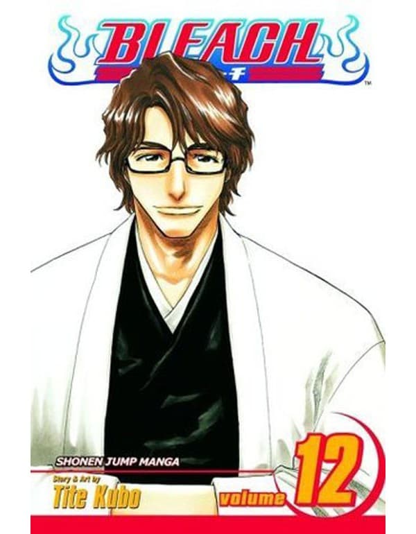Bleach, Vol. 12