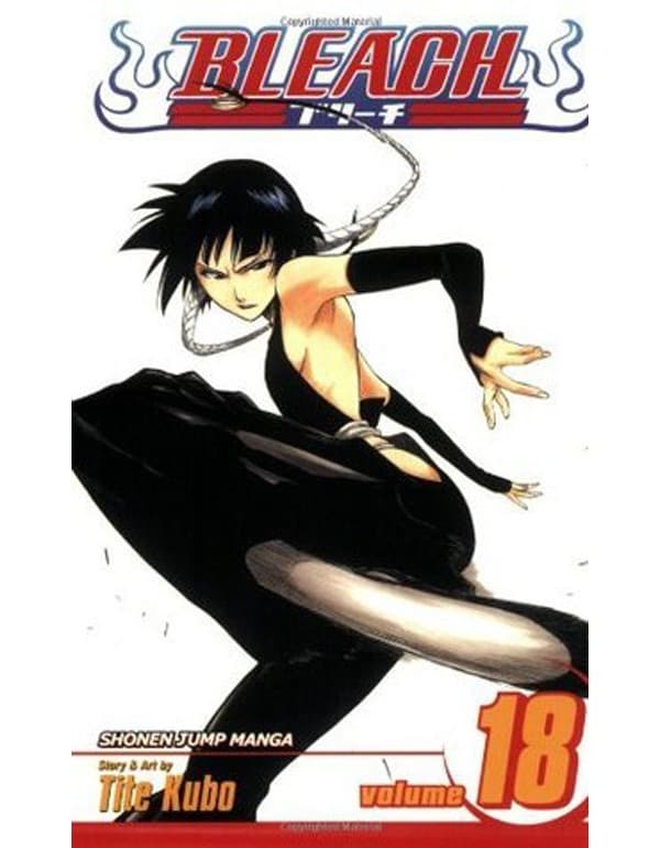 Bleach, Vol. 18