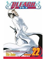 Bleach, Vol. 22 product image