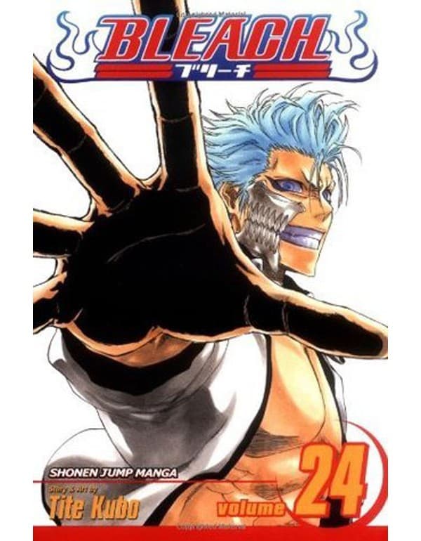 Bleach, Vol. 24