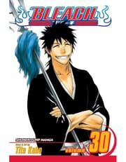 Bleach, Vol. 30 product image