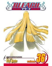 Bleach, Vol. 36 product image