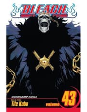 Bleach, Vol. 43 product image