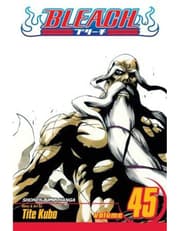 Bleach, Vol. 45 product image