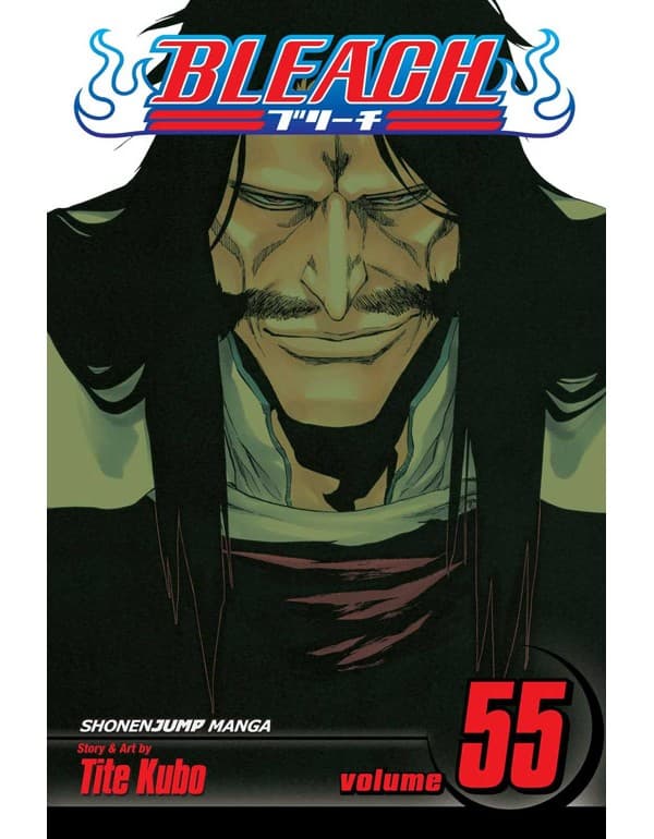 Bleach, Vol. 55: The Blood Warfare