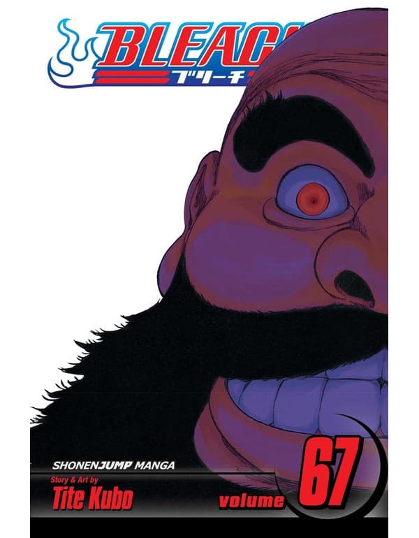 Bleach, Vol. 67