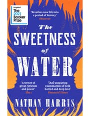 The Sweetness of Water product image