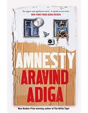 Amnesty product image