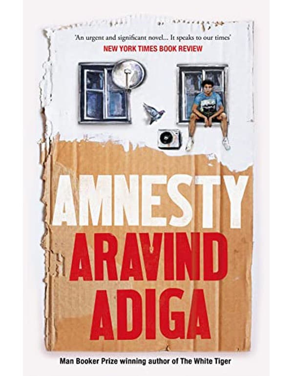 Amnesty