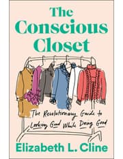 The Conscious Closet product image