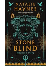 Stone Blind product image