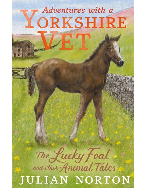Adventures With A Yorkshire Vet: The Lucky Foal And Other Animal Tales