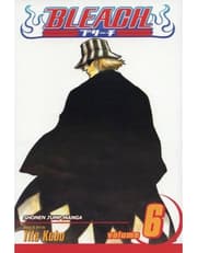 Bleach, Vol. 6 product image