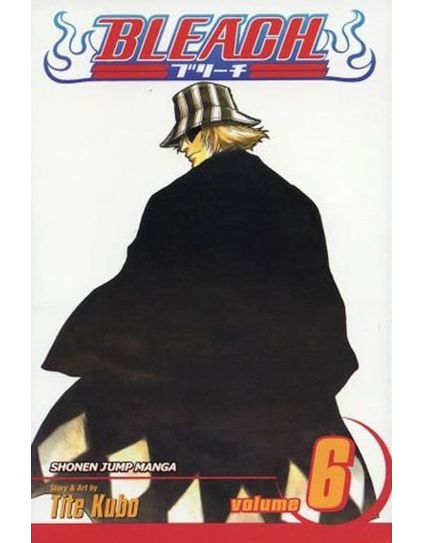 Bleach, Vol. 6