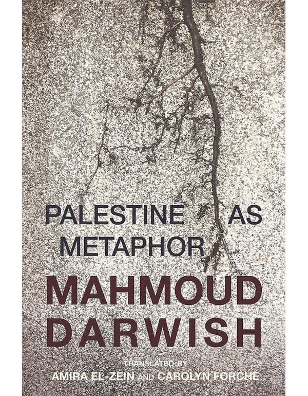 Palestine As Metaphor