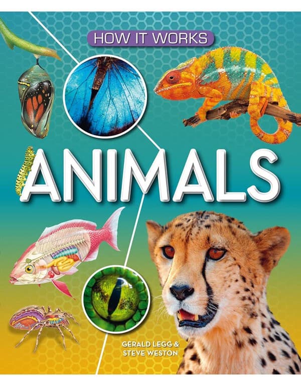 How It Works: Animals