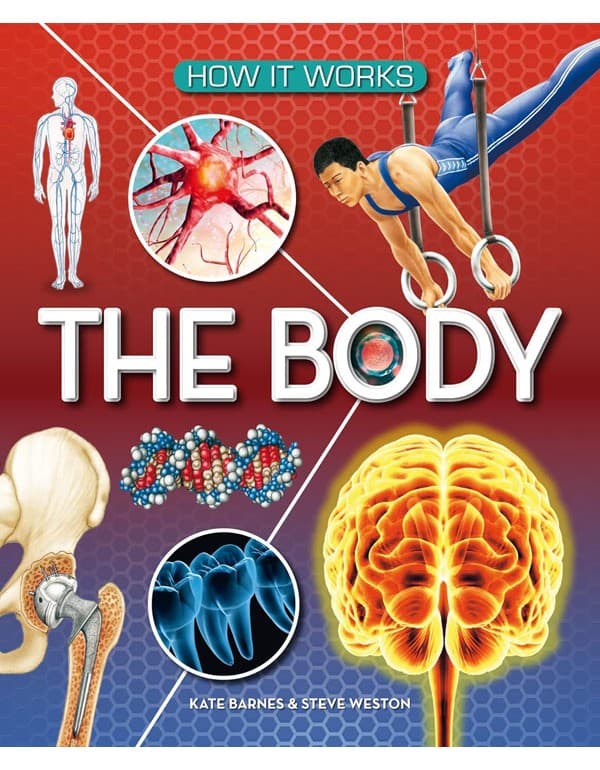 How It Works: The Body