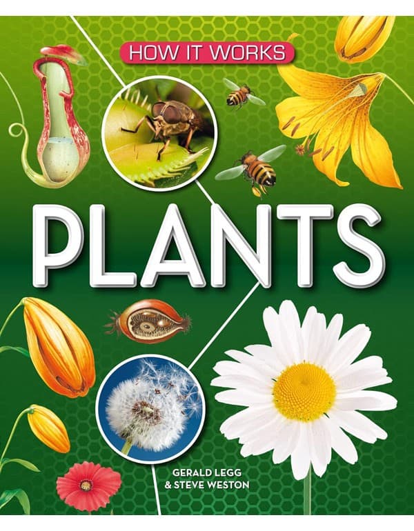 How It Works: Plants