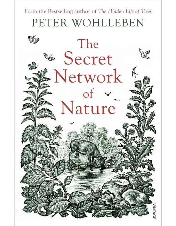 The Secret Network of Nature