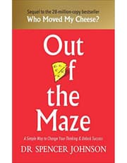 Out of the Maze product image