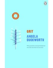 Grit product image