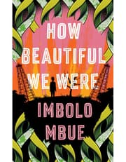 How Beautiful We Were product image