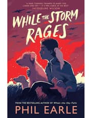 While The Storm Rages product image