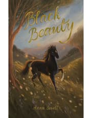 Black Beauty product image
