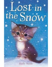Lost in the Snow product image