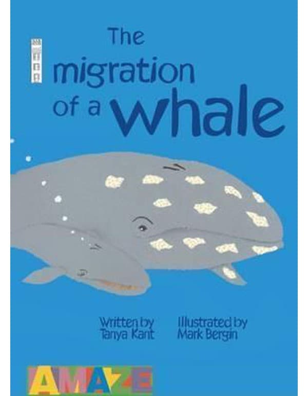 The Migration Of A Whale