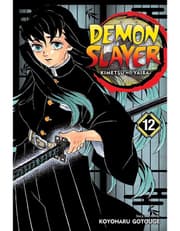 Demon Slayer: Kimetsu no Yaiba, Vol. 12 product image