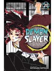 Demon Slayer: Kimetsu no Yaiba, Vol. 20 product image