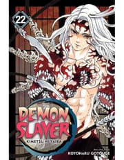 Demon Slayer: Kimetsu no Yaiba, Vol. 22 product image