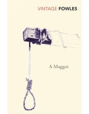 Maggot product image
