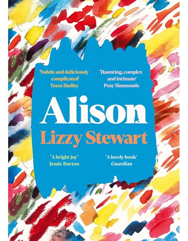 Alison: A Stunning And Emotional Graphic Novel For Fans Of Sally Rooney, From An Award Winning Illustrator And Author