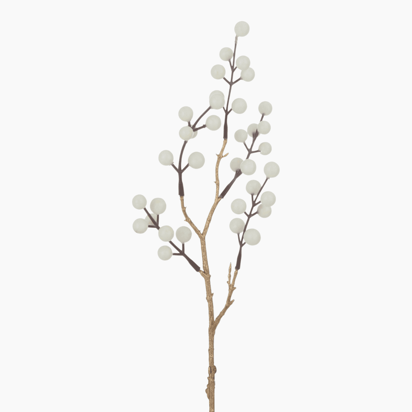 Branch Berries