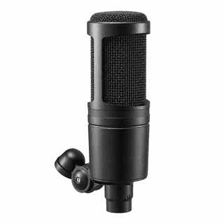 Audio‑Technica AT2020 XLR Mic