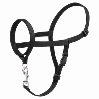PetSafe Gentle Leader Headcollar Medium