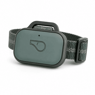 Whistle GO Explore GPS Pet Tracker