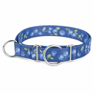 Blueberry Pet Martingale Collar
