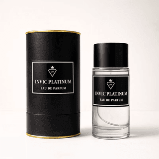 Invictus Platinum Rabanne