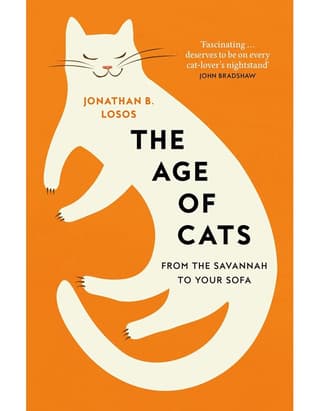 The Age Of Cats: From The Savannah To Your Sofa